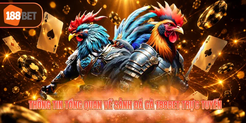 Thông tin tổng quan về sảnh đá gà 188BET trực tuyến